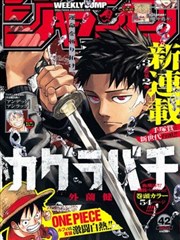 纸上之城漫画改编标本封面，版本差异最明显的一类