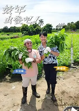 综艺特辑标本卡封面，横滑书架的另一格
